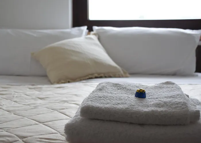 Adama 아테나루카나