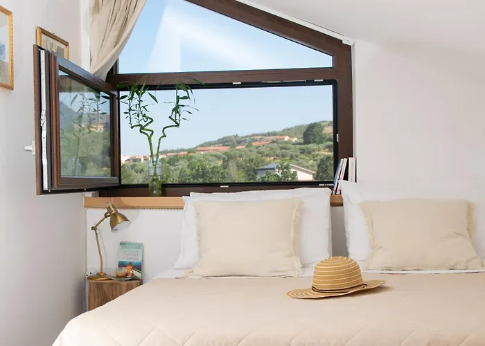 Adama B&B